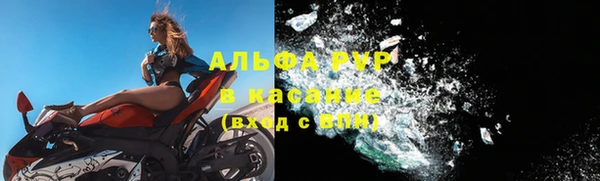 дживик Аркадак