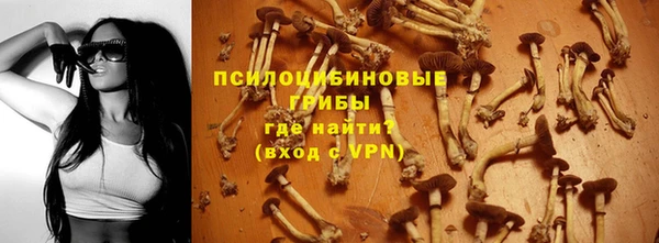 а пвп мука Осинники